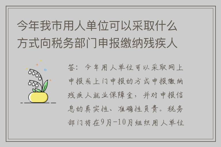 今年我市用人单位可以采取什么方式向税务部门申报缴纳残疾人就业保障金？