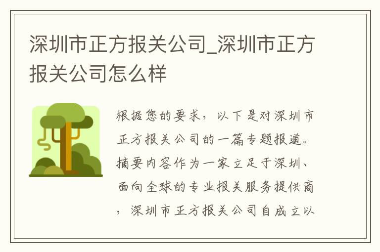 深圳市正方报关公司_深圳市正方报关公司怎么样