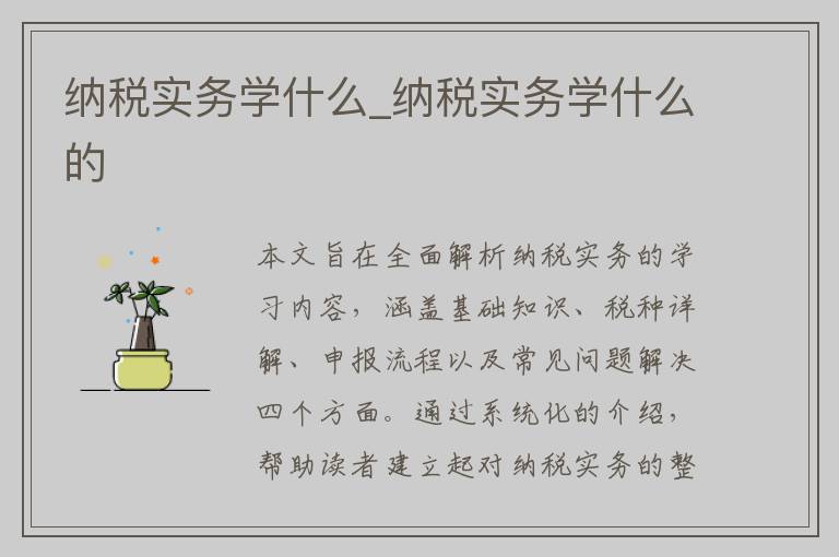 纳税实务学什么_纳税实务学什么的