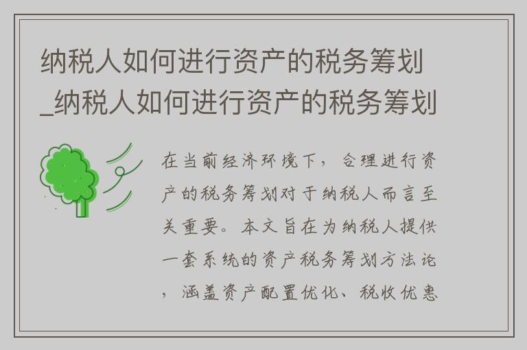 纳税人如何进行资产的税务筹划_纳税人如何进行资产的税务筹划