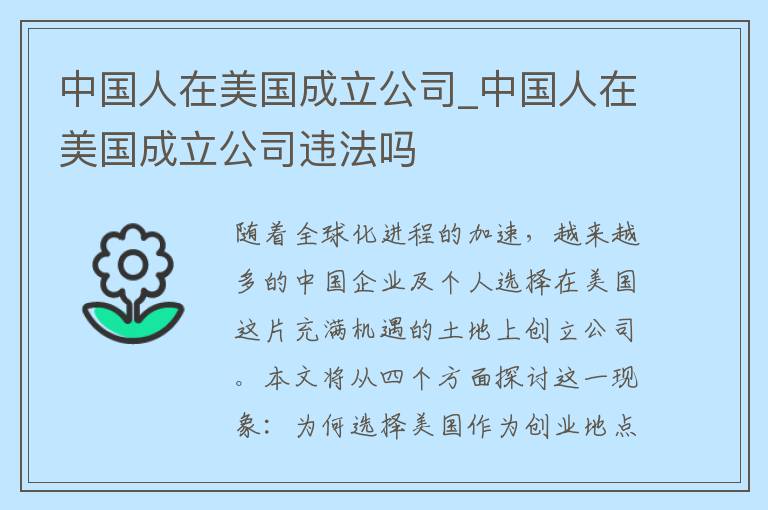 中国人在美国成立公司_中国人在美国成立公司违法吗