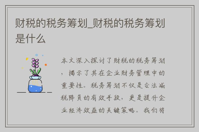 财税的税务筹划_财税的税务筹划是什么