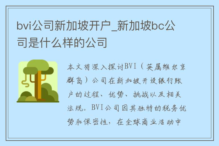 bvi公司新加坡开户_新加坡bc公司是什么样的公司