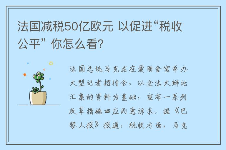 法国减税50亿欧元 以促进“税收公平” 你怎么看？