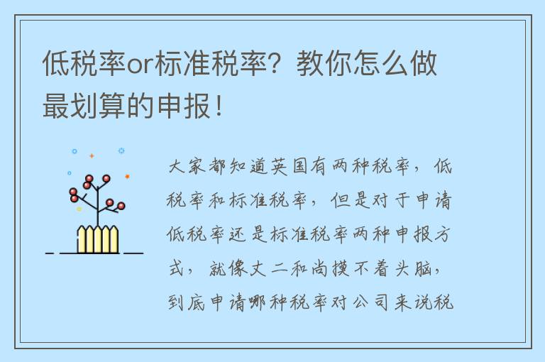 低税率or标准税率？教你怎么做最划算的申报！